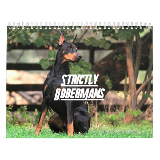 Strictly Dobermans Calendar 2026 Kalender (Omslag)