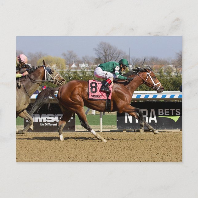 Strid för strid vykort (Framsida)