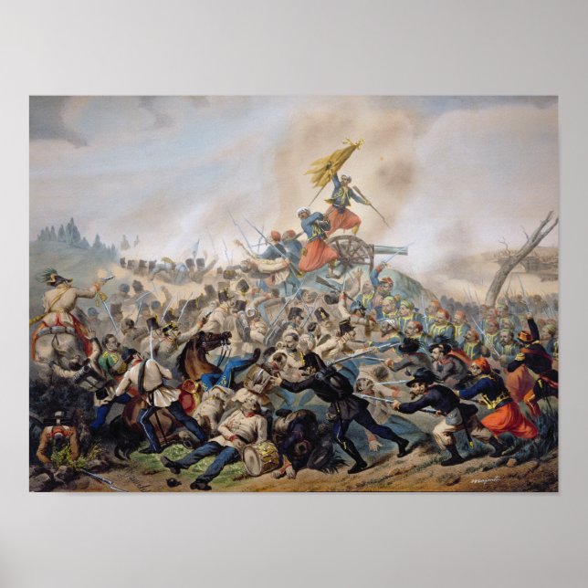 Striden om Magenta Poster (Framsidan)