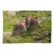 Stridighet för Grizzlybjörnlek