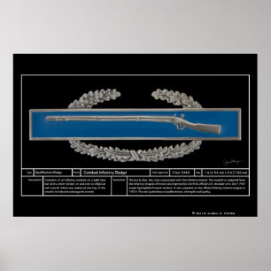 Stridinfanterit förser med märke tekniskt poster