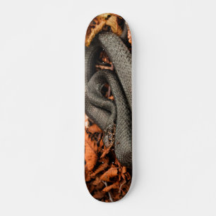 Strimmad orm mini skateboard bräda 18,5 cm