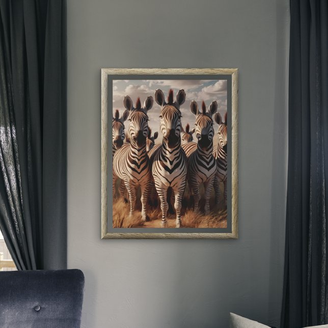 Strimmat majestät: Zebra Herd i torrgräs Poster (Skapare uppladdad)