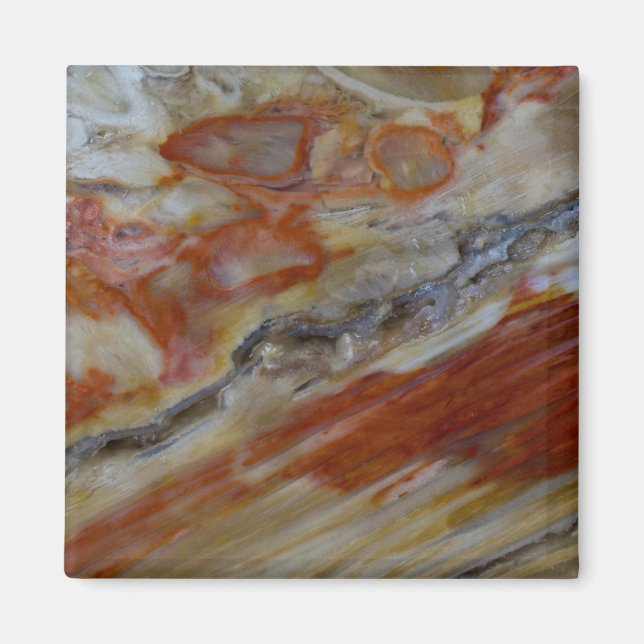 Strimmig fossiliserad ved magnet (Framsidan)