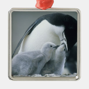 Strimpingvin, Pygoscelis antarctica), Julgransprydnad Metall