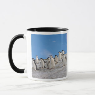 Strimpingvin Pygoscelis Antarctica Mugg
