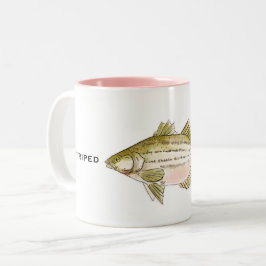 Stripe Bass | Fiske Mugg