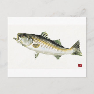 Stripe Bass Vykort