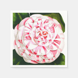 Stripe candy cane camellia pappersservett