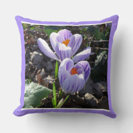 Stripe CrocusDekorativ kudde