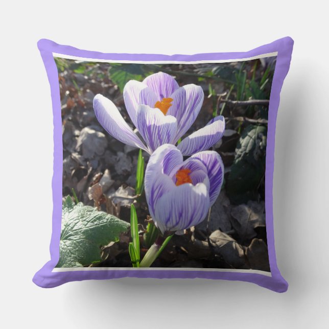 Stripe CrocusDekorativ kudde (Framsida)