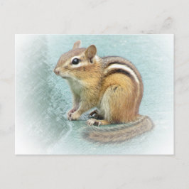Stripe Cutie - Chipmunk Vykort