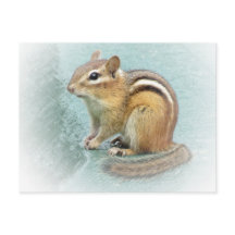 Stripe Cutie - Chipmunk