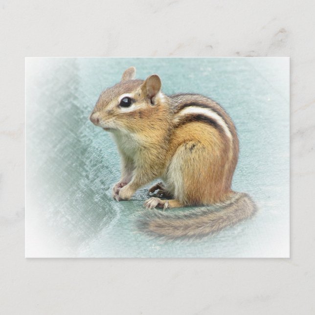 Stripe Cutie - Chipmunk Vykort (Framsida)