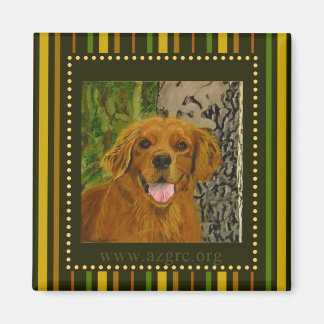 Stripe Golden Retriever Magnet AZGRC