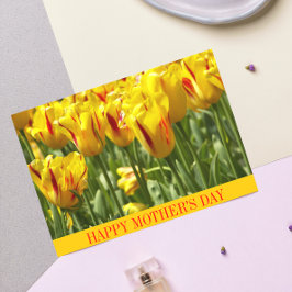Stripe Gult Tulips Blommigt Mors dag Kort