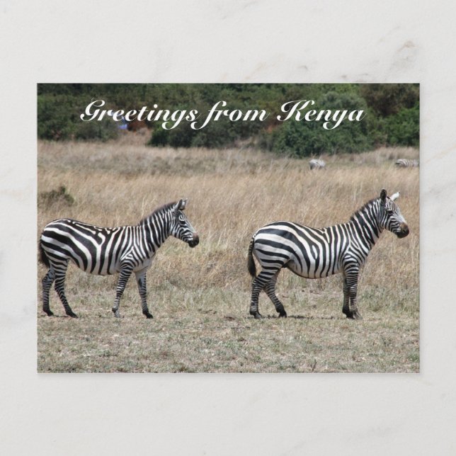 stripe hälsning vykort (Framsida)