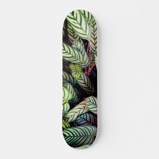 Stripe-löv Mini Skateboard Bräda 18,5 Cm (Framsida)