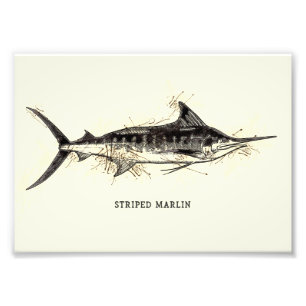 Stripe marlin Kajikia audax Vintage Teckning Art Fototryck