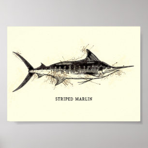 Stripe marlin Kajikia audax Vintage Teckning Art Poster