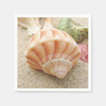 Stripe Sea Snäcka Lightning Whelk
