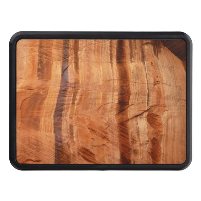 Stripe Sten i Dubbla Arch Alcove II i Zion Dragkroksskydd (Framsidan)