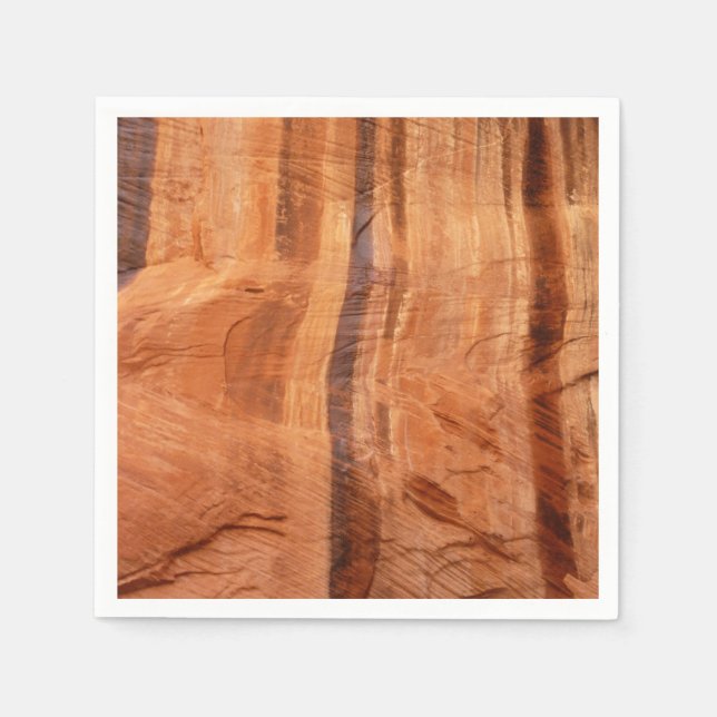 Stripe Sten i Dubbla Arch Alcove II i Zion Pappersservett (Framsidan)