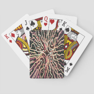 Stripe struktur casinokort