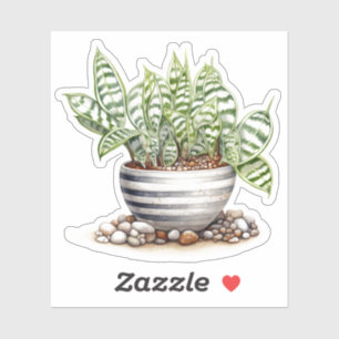 Stripe Zebra Haderiia Pot Plant Vinyl Sticker Klistermärken