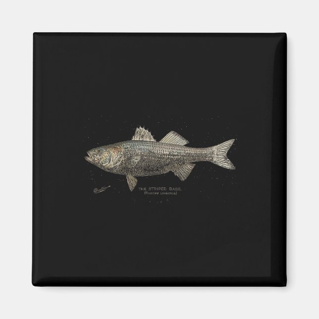 Striped B Fishing  Magnet (Framsidan)