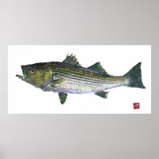Striped Bass Gyotaku Open Edition Poster (Framsidan)