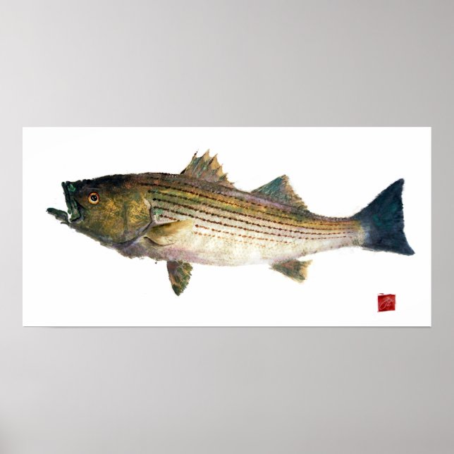Striped Bass Gyotauku Poster (Framsidan)
