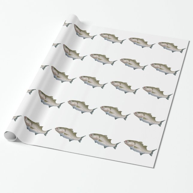 STRIPED BASS PRESENTPAPPER (Utrullad)