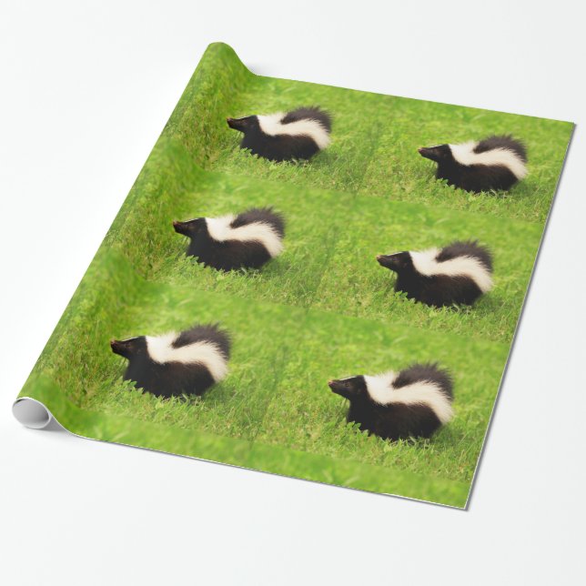 Striped Skunk Presentpapper (Utrullad)