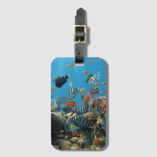 Stripey Tropical Fish Coral Chaos Bagagebricka