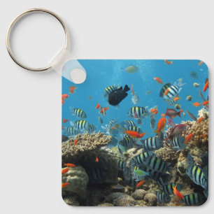 Stripey Tropical Fish Coral Chaos Nyckelring