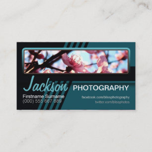 Stripy visitkort för krickafotografifoto