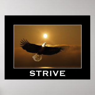 STRIVE ~ Örn flytande Poster