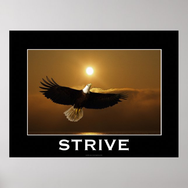 STRIVE ~ Örn flytande Poster (Framsidan)
