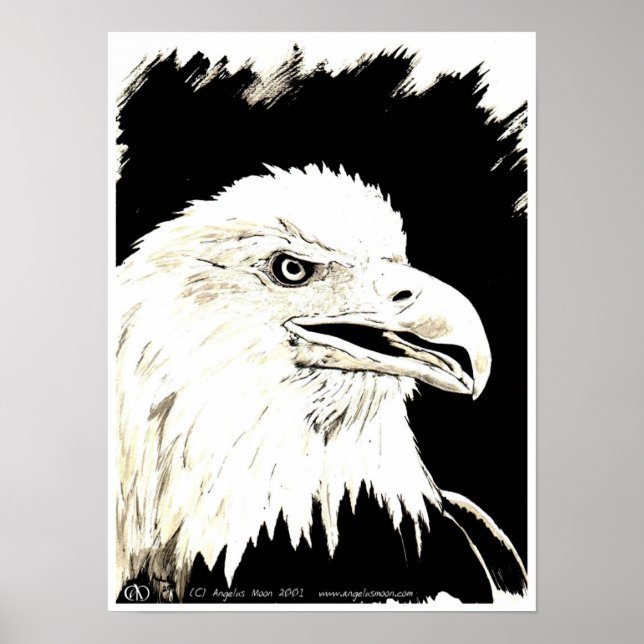 Ström Poster (Framsidan)