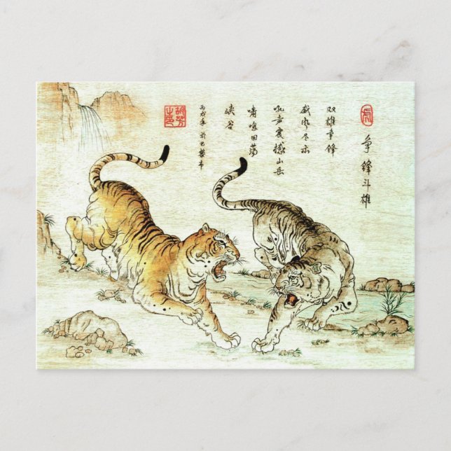 "Strömkamp" Vykort (Framsida)