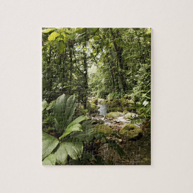 strömma i rainforesten, Dominica Pussel (Vertikal)