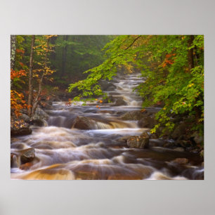 Strömmande bäckar längs Appalachian Trail Poster