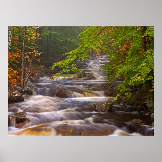 Strömmande bäckar längs Appalachian Trail Poster (Framsidan)