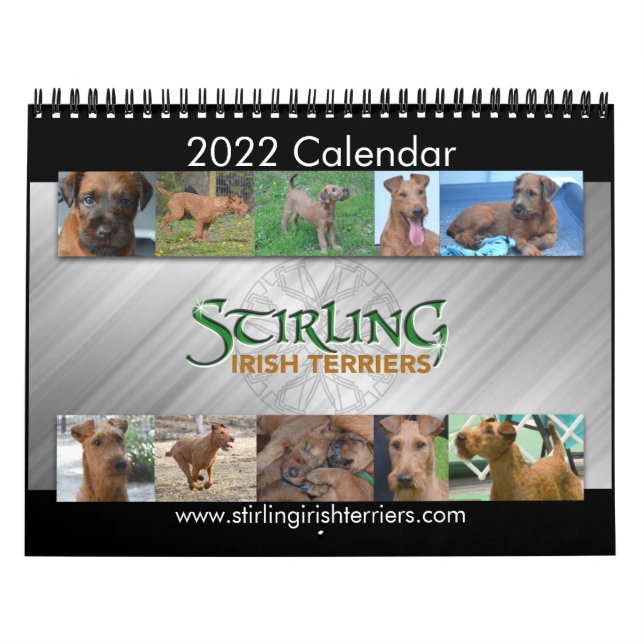 Strömmande irländska Terriers 2022-kalender Kalender (Omslag)