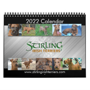 Strömmande irländska Terriers 2022-kalender Kalender