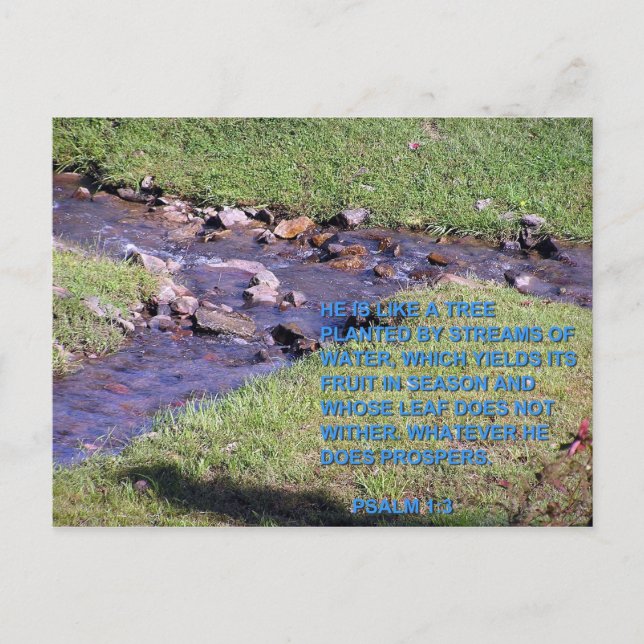 STRÖMMAR VYKORT (Framsida)