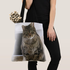 Strömpåse för katt tygkasse