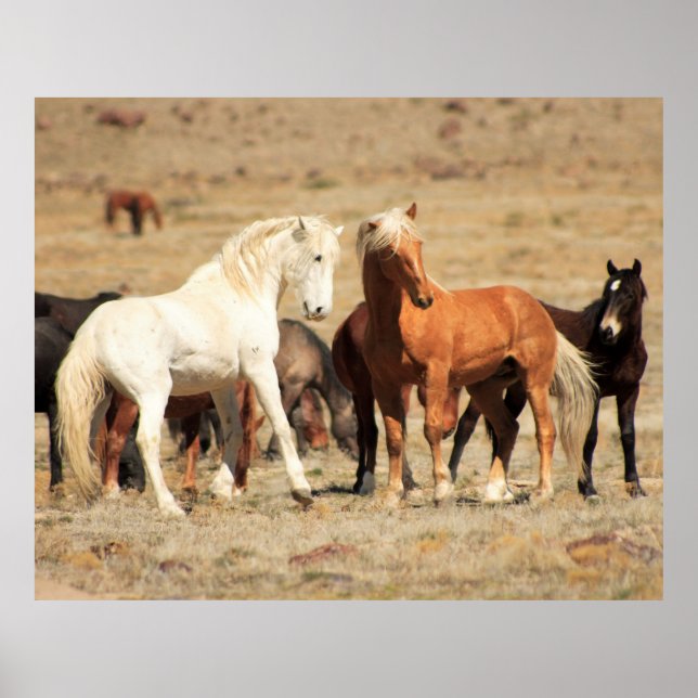 Strömuppspelning Poster (Framsidan)