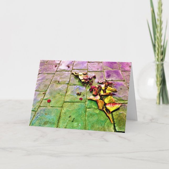 Strömvy/bild, kort (Framsida)